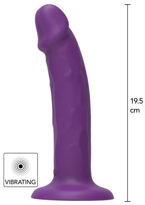 10150_PURPLE_01