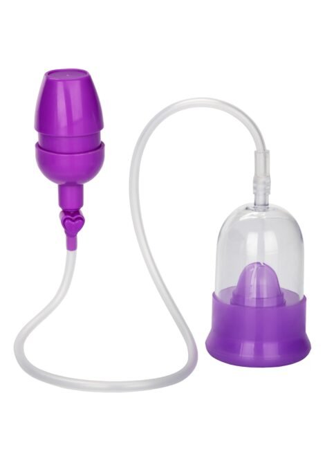 12418_PURPLE_01