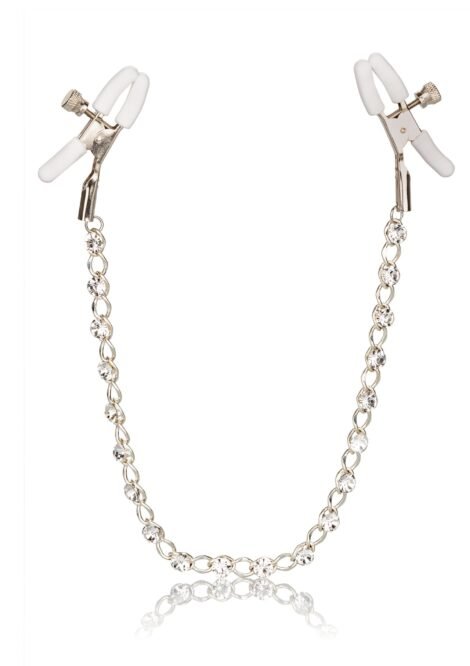 12954_SILVER_01