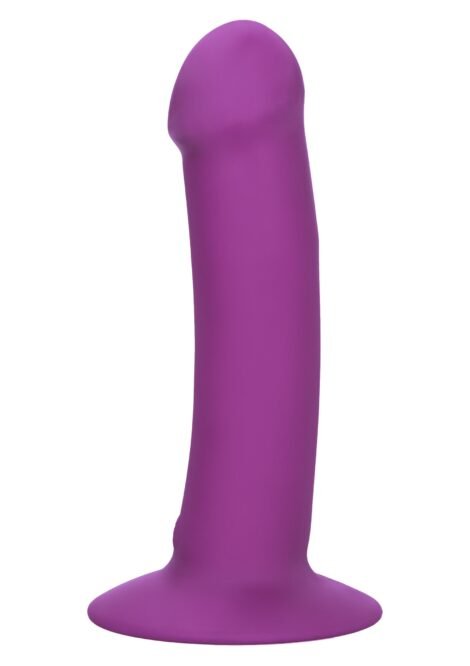 13080_PURPLE_01