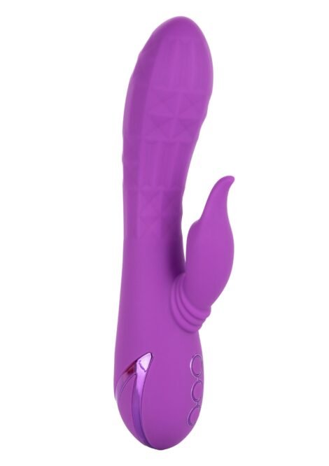 13449_PURPLE_01_9b88c580-4d8e-418b-a36c-74910a45b1d6