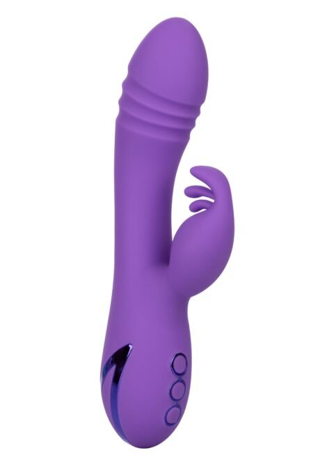 14351_PURPLE_01_d287e9a3-e1db-41fa-b76b-1dbd74a68cd9